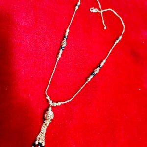 whatsapp image 2026 02 13 at 10.53.36 pm